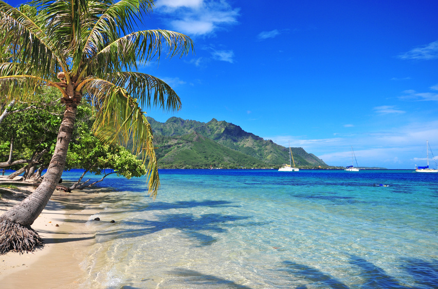 Un Camping à Moorea Sur Une Plage De Rêve