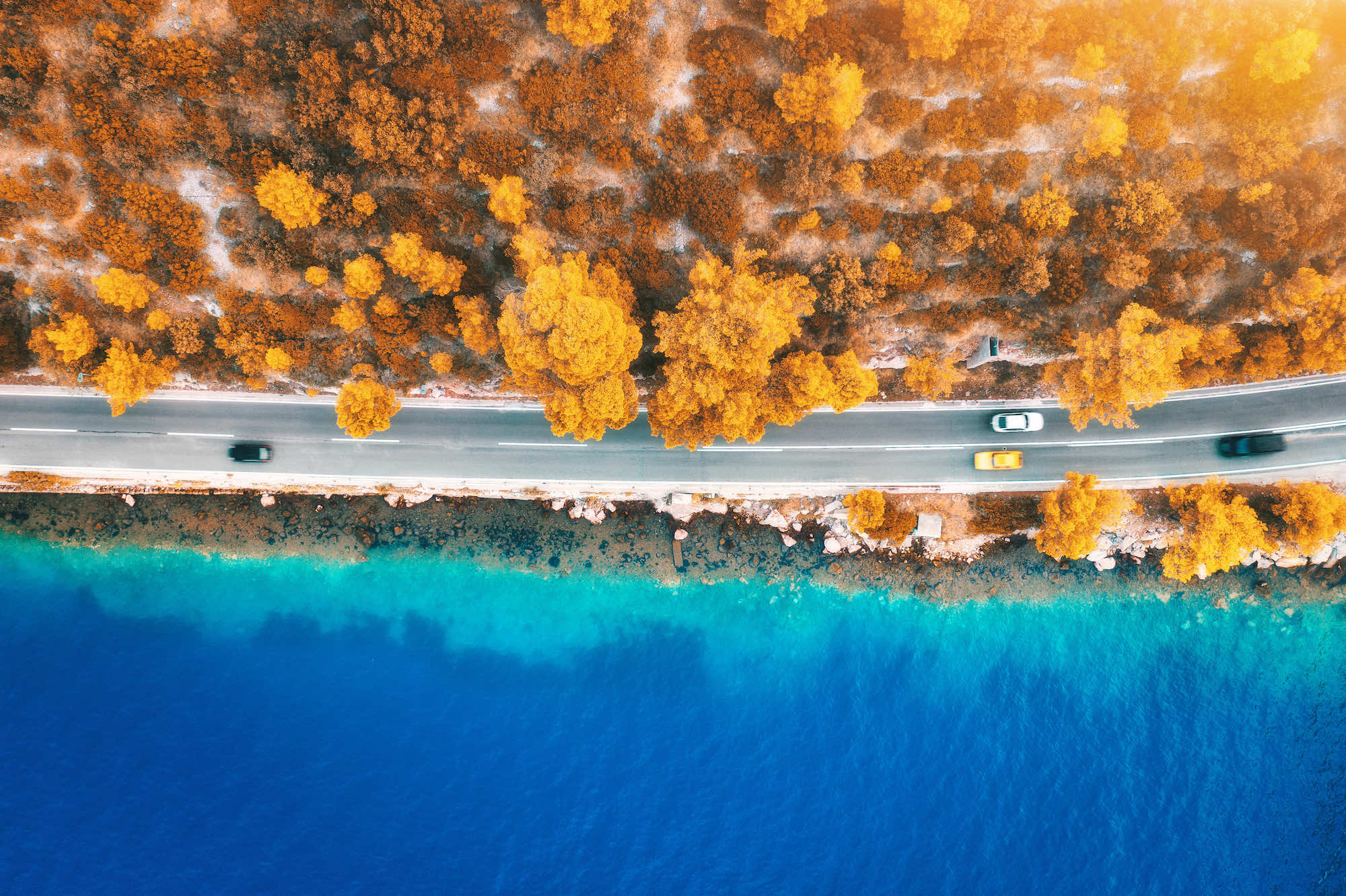 Vacances de la Toussaint : 5 campings parfaits pour prolonger l’été background poster