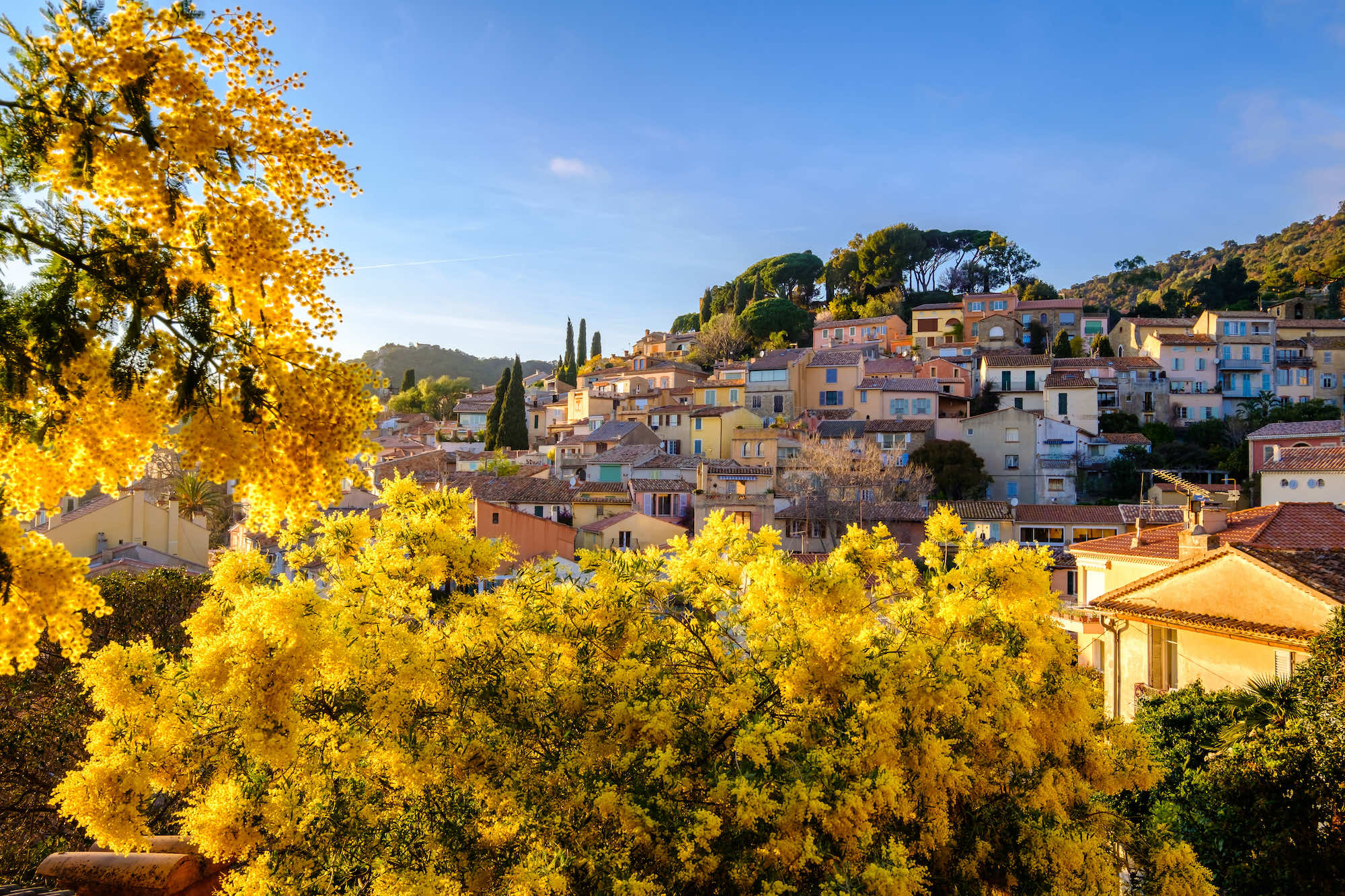 Le Mag Camping - Mimosas et Méditerranée : plongez dans les couleurs de ce Plus Beau Village de France