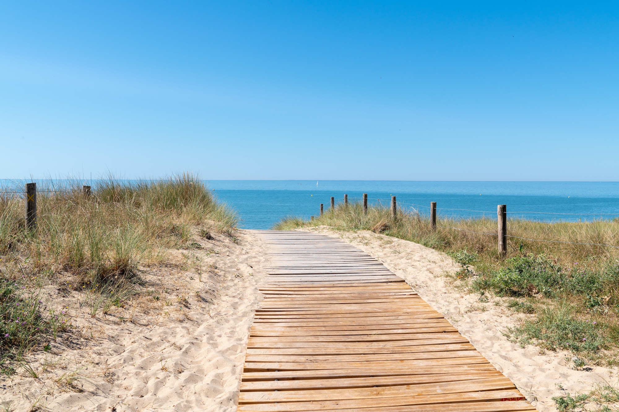 Encore rien de prévu pour le 14 juillet ? Partez en Vendée à -52% pour des vacances de dernière minute au top ! background poster