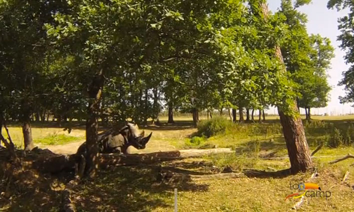 Le tour du monde des animaux au Safari de Peaugres, en Ardèche  -  visuel 1/1