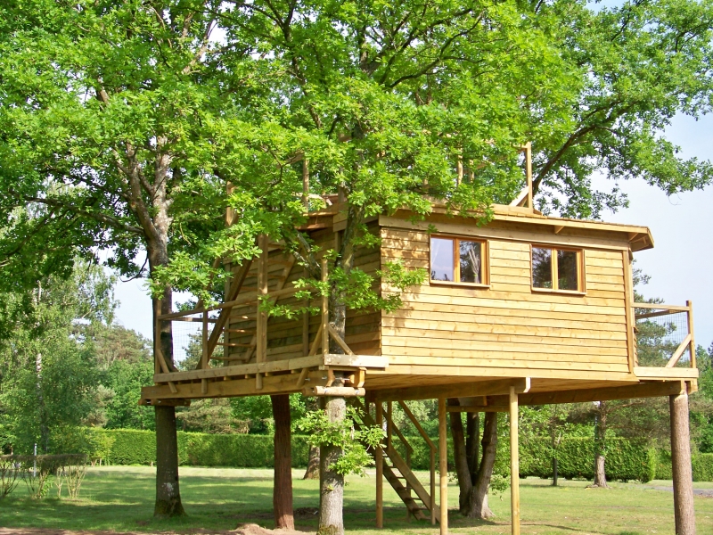 Cabane Dans Les Arbres Fere En Tardenois Cabane dans les arbres Picardie - Hébergement insolite Picardie