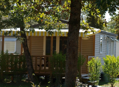 Camping - Dolus d'Oléron - Poitou-Charentes - La Cailletière - Image #7