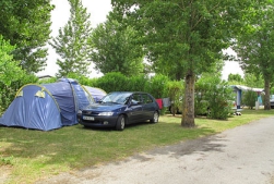 Camping - Olonne-sur-Mer - Pays de Loire - Camping Le Bois Soleil - Image #11