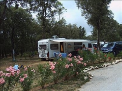 Camping - Sommières - Languedoc-Roussillon - Camping Le Domaine de Massereau - Image #6