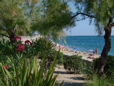 Camping - Argelès-sur-Mer - Languedoc-Roussillon - Camping Les Pins - Image #9