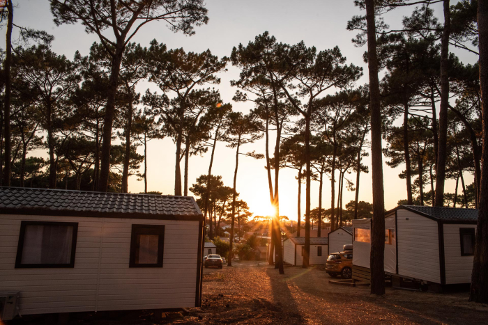 Camping - Biscarrosse-Plage - Aquitaine - Campéole Plage Sud - Image #7