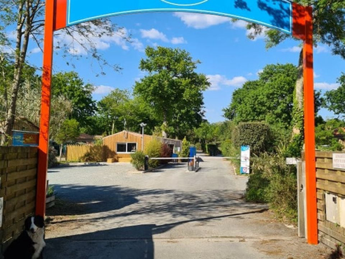 Camping - Dolus d'Oléron - Poitou-Charentes - La Cailletière - Image #1