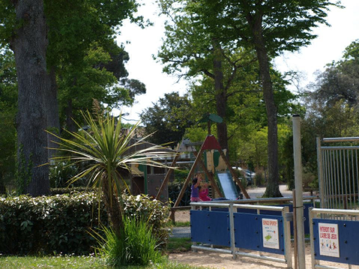 Camping - Dolus d'Oléron - Poitou-Charentes - La Cailletière - Image #2