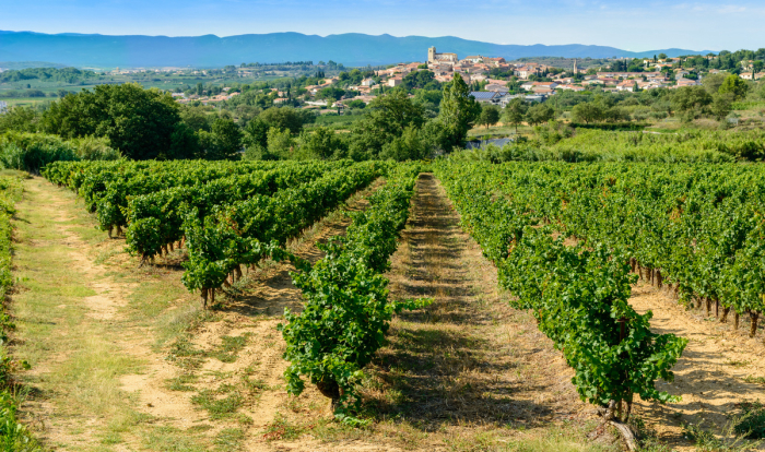 Camping - Vias - Languedoc-Roussillon - La Carabasse - Image #11