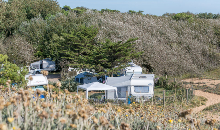 Camping - Saint-Gilles-Croix-de-Vie - Pays de Loire - Les Cyprès - Image #8