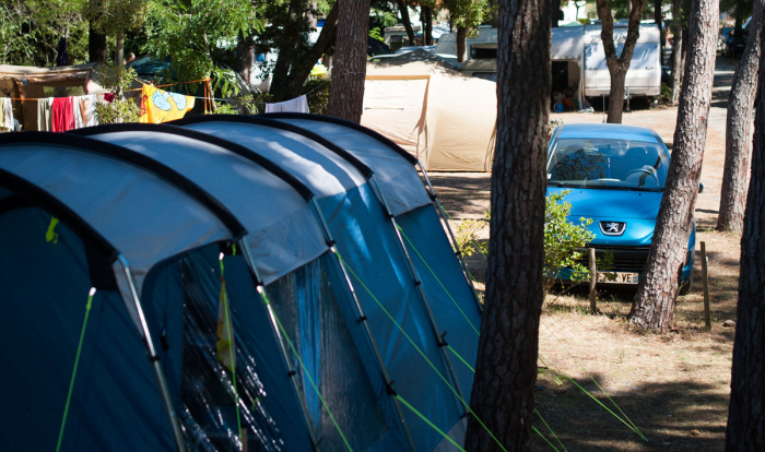 Camping - Saint-Gilles-Croix-de-Vie - Pays de Loire - Les Cyprès - Image #15