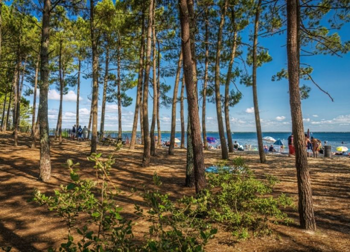 Camping - Hourtin - Aquitaine - L'Orée du Bois - Image #27