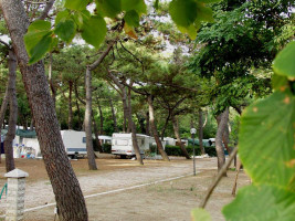 Camping cecina toscane